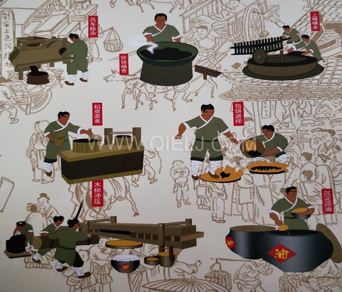 芝麻油提取加工，企鵝糧油機(jī)械生產(chǎn)色香味俱佳的油脂(圖2)